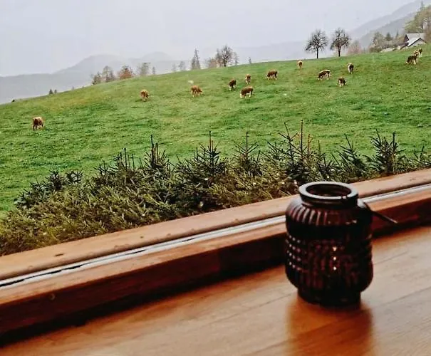 Lunela Estate With Sauna Vakantiehuis Cerklje na Gorenjskem